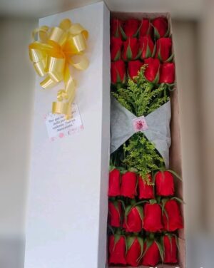 Caja por 24 rosas R54