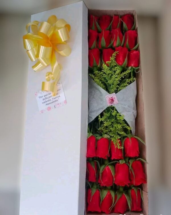 Caja por 24 rosas R54