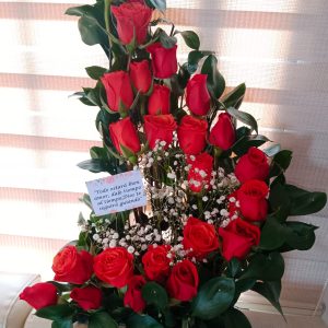 Medialuna sencilla en rosas R149